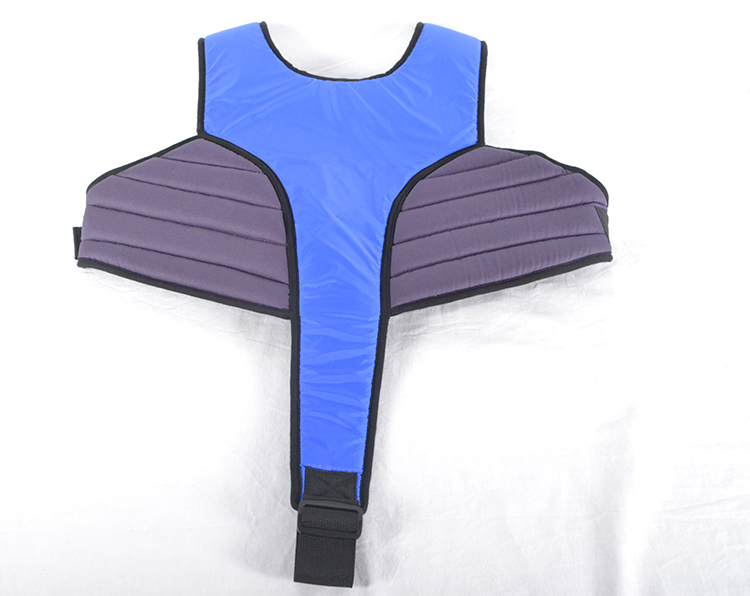 Wheelchair multi-purpose security constraint vest